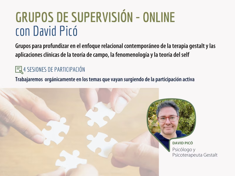 Seminario de supervisión didáctica con David Picó