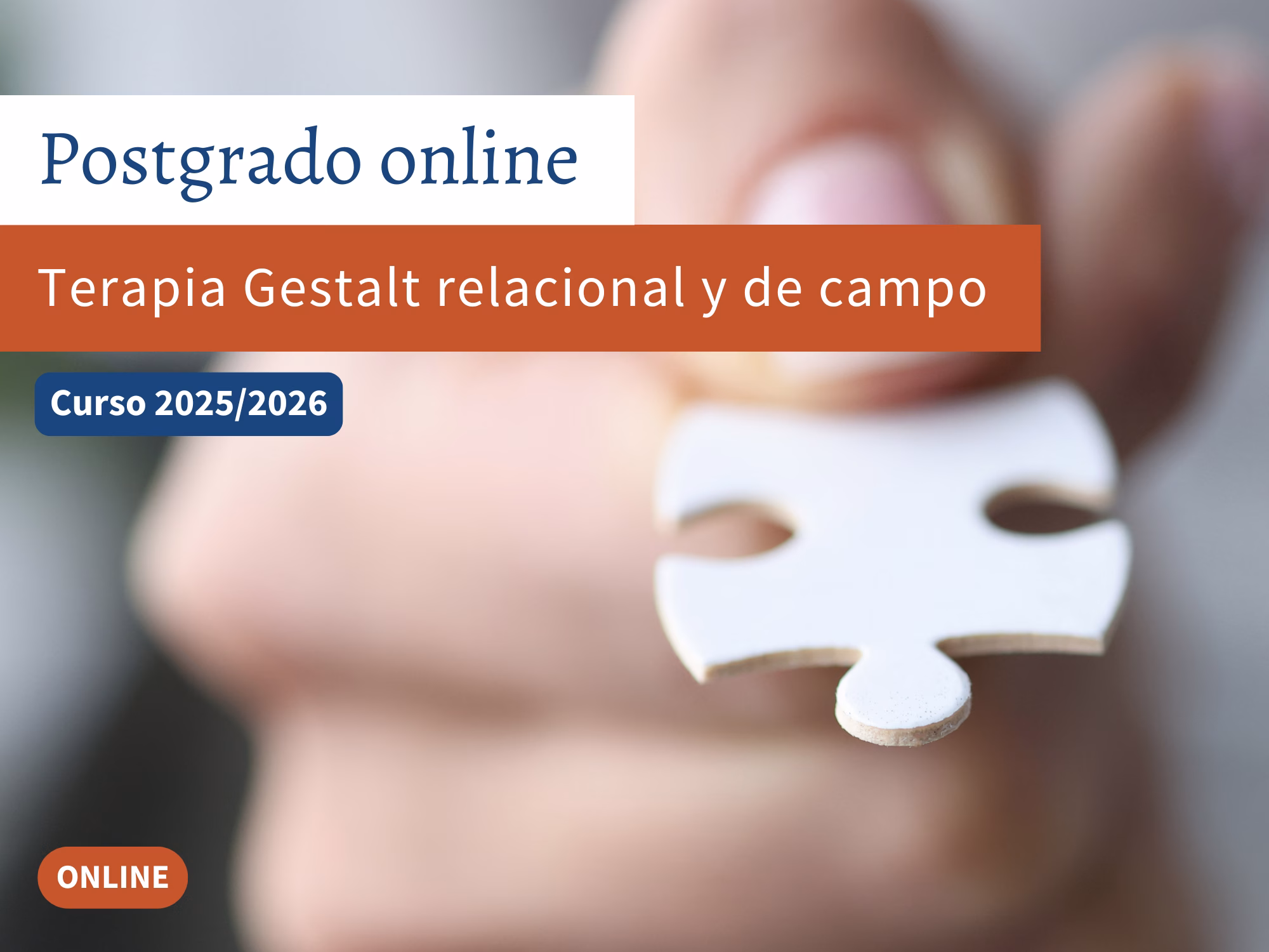 Formación de Postgrado online sobre Terapia Gestalt Relacional y de Campo en Terapiados Valencia