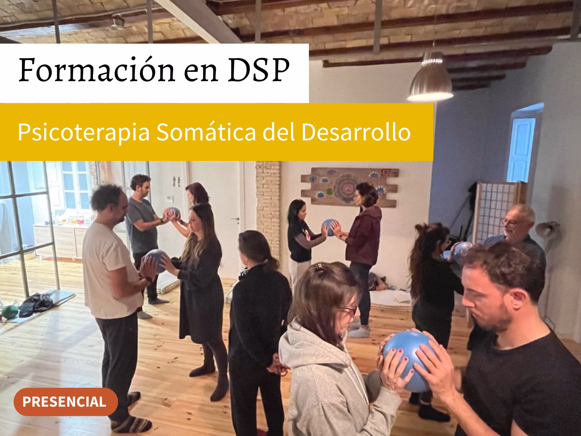 Formación en Psicoterapia Somática del Desarrollo (DSP) en Terapiados Valencia